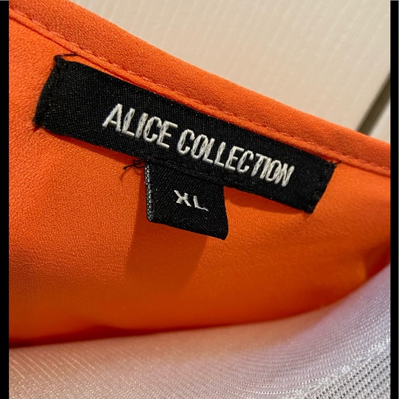 Gorgeous Coral Two-Layer Top by Alice Collection - Picture 10 of 12